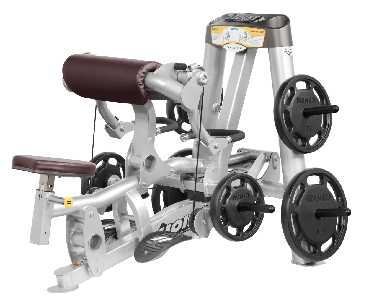 Biceps Curl - Image 56