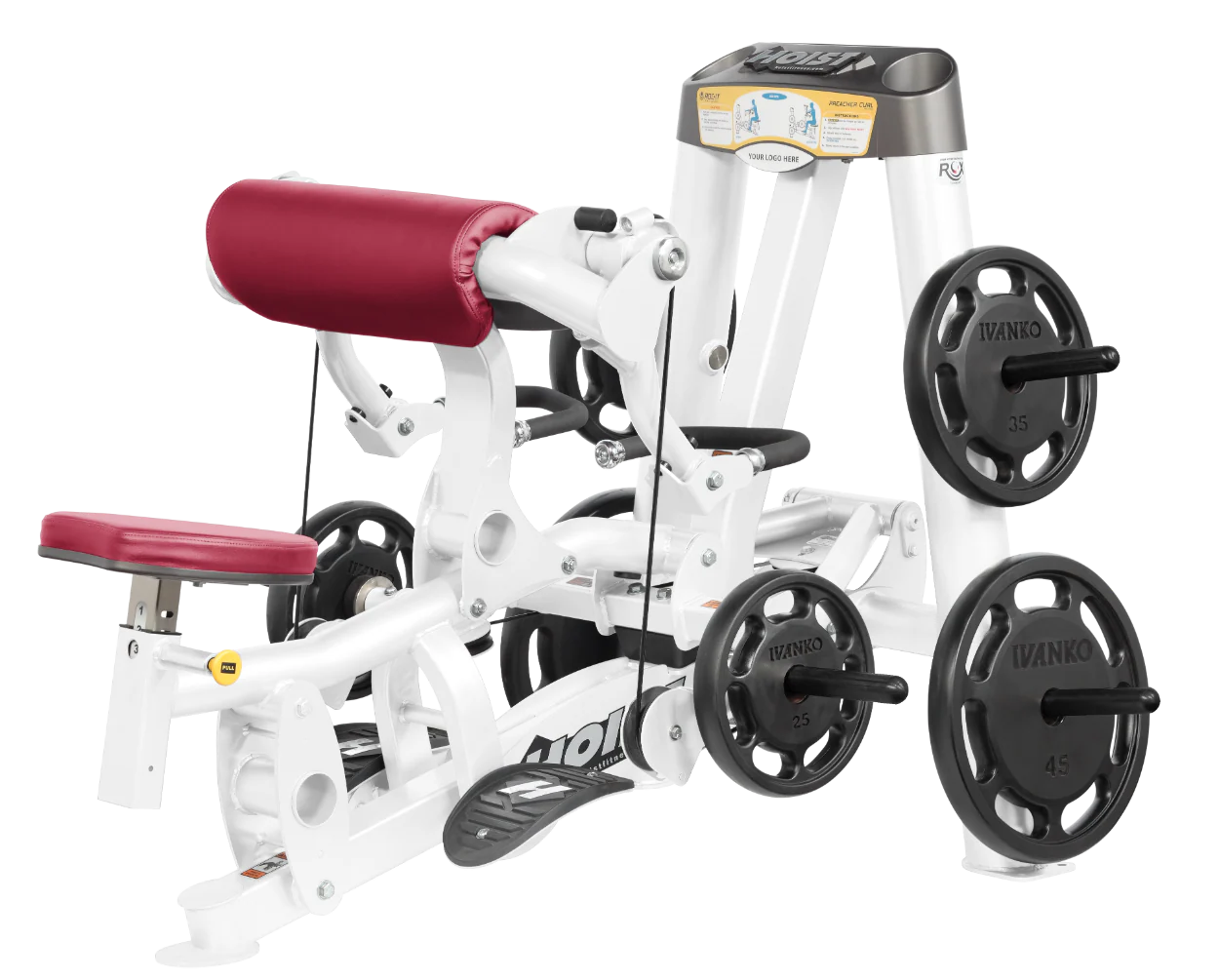 Biceps Curl - Image 65