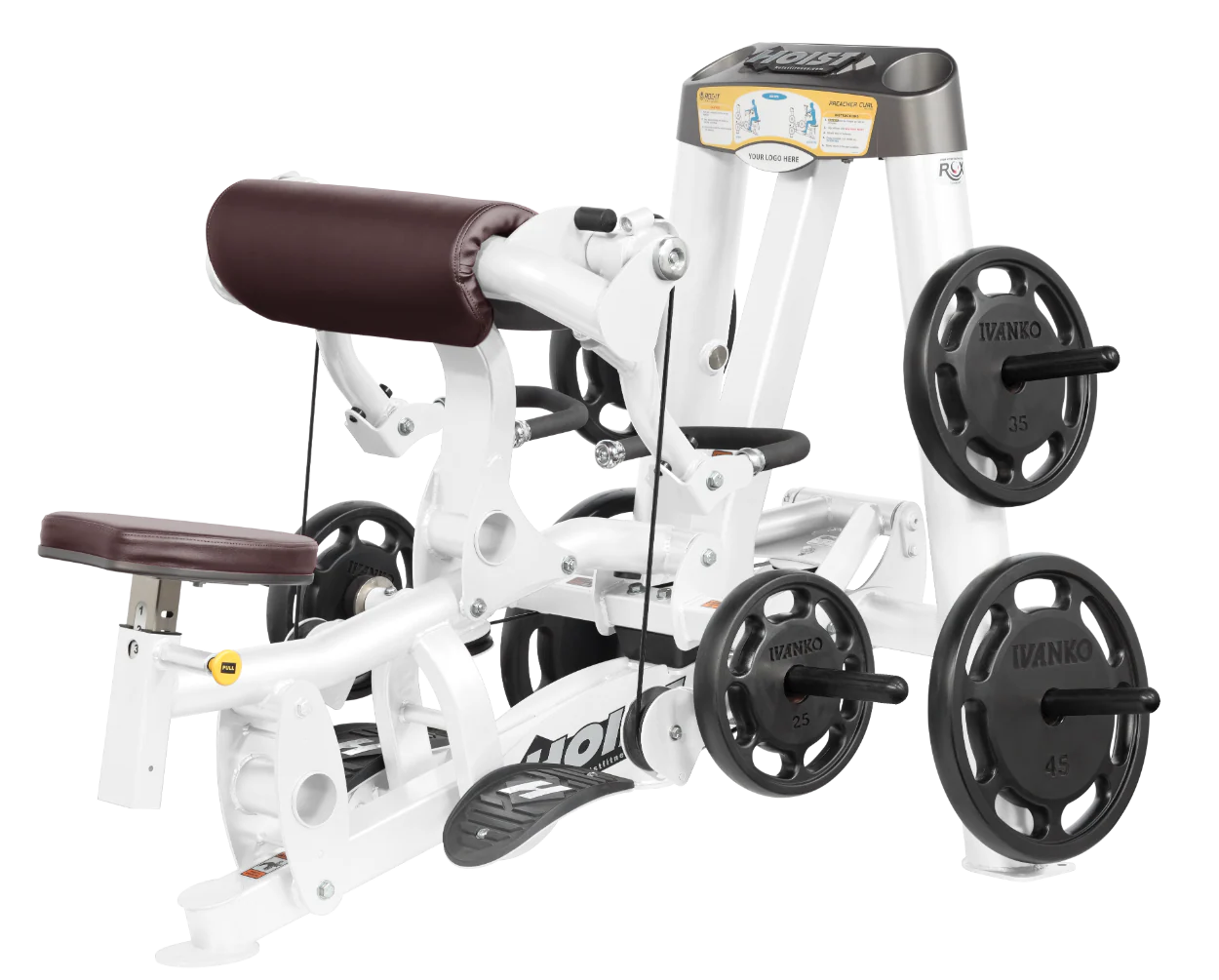 Biceps Curl - Image 68
