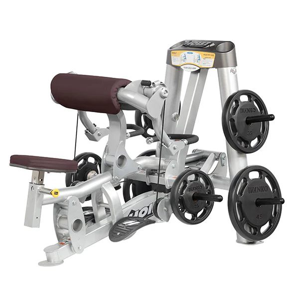 Biceps Curl - Image 8