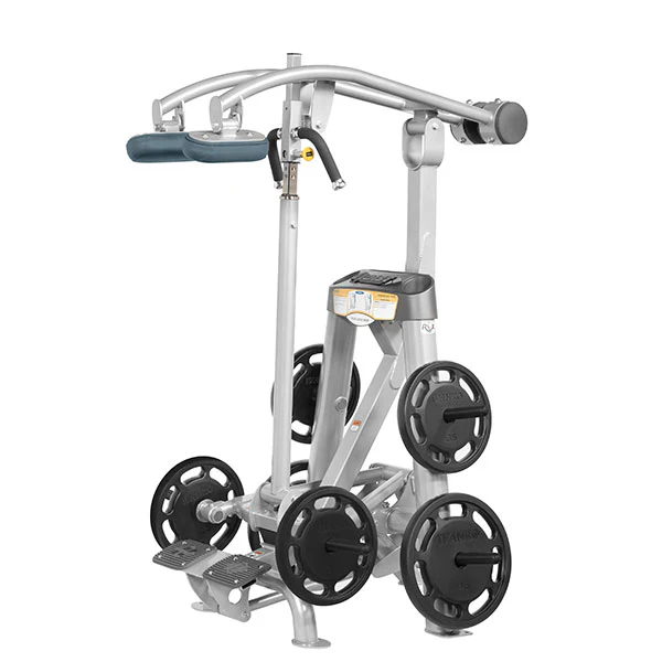 Standing Calf Raise - Image 11