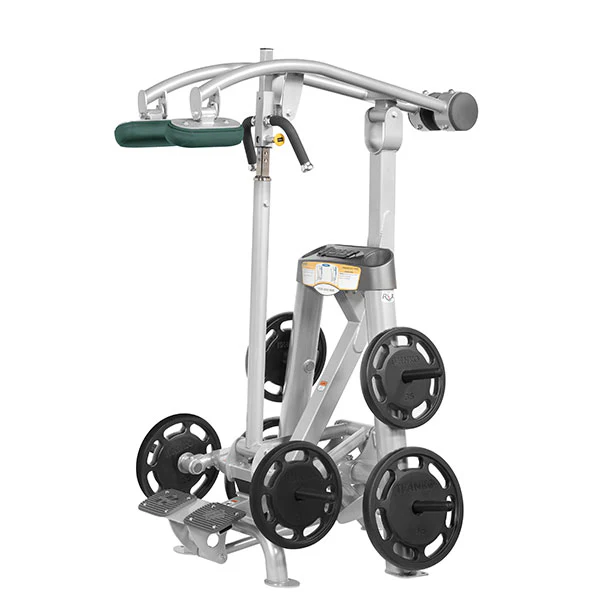 Standing Calf Raise - Image 15