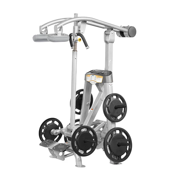 Standing Calf Raise - Image 6