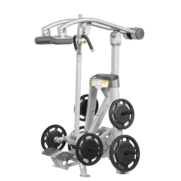 Standing Calf Raise - Image 7