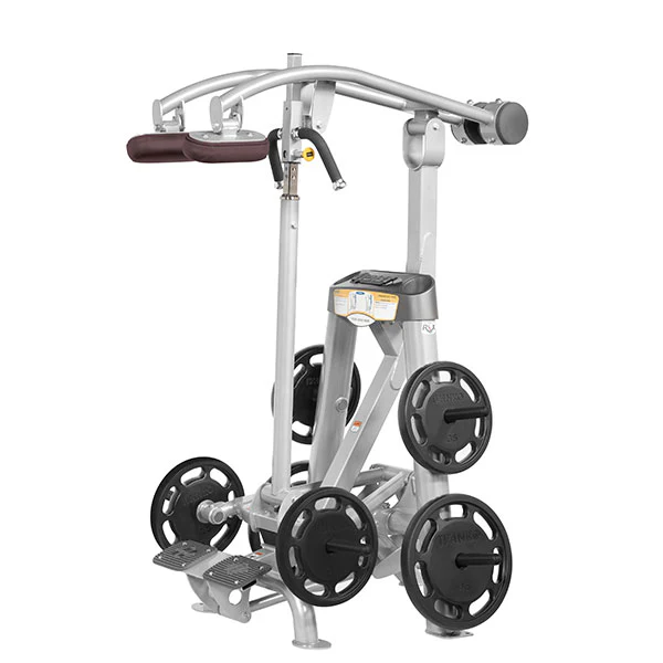 Standing Calf Raise - Image 8