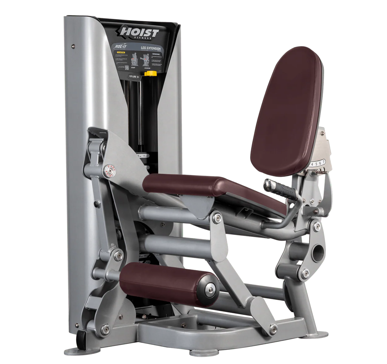 Leg Extension - Image 19