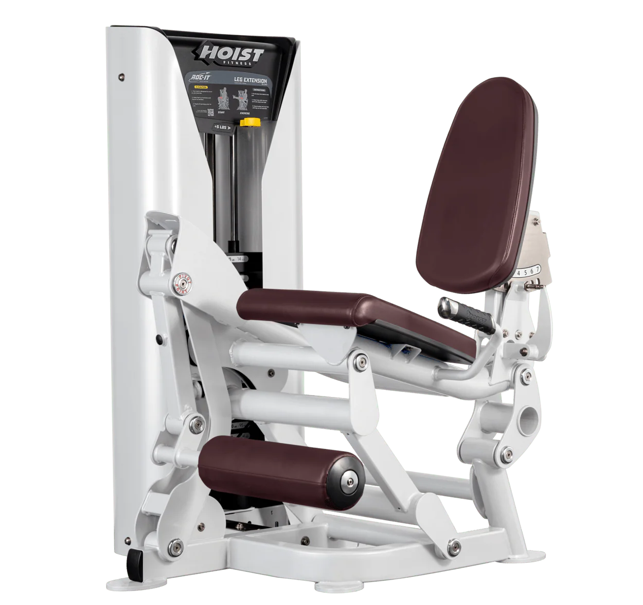 Leg Extension - Image 20
