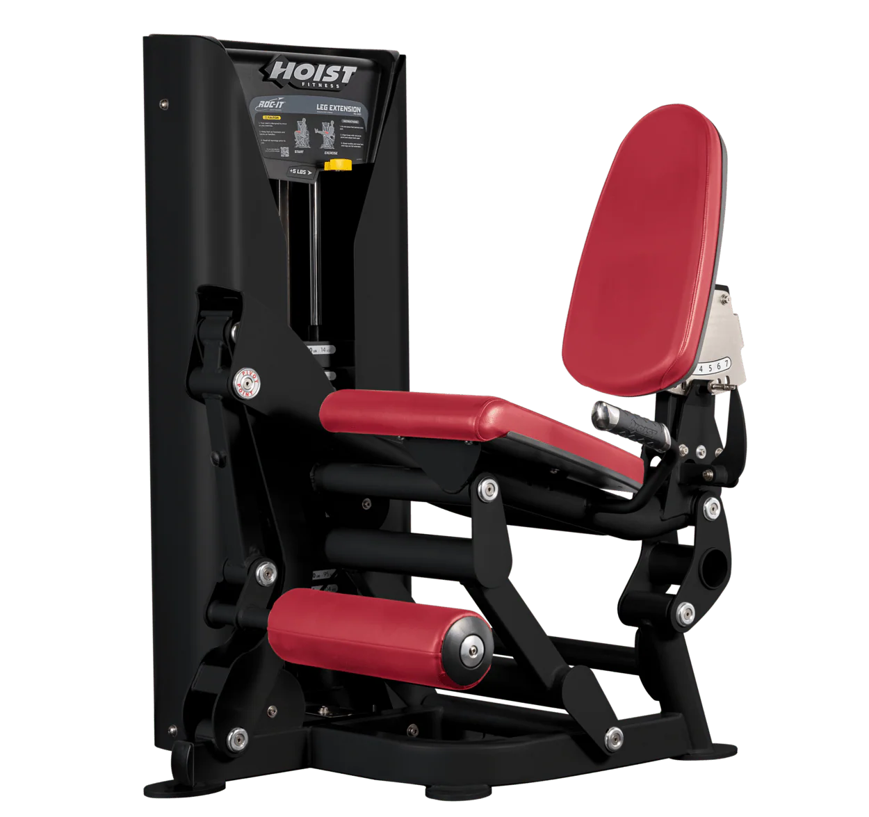 Leg Extension - Image 21