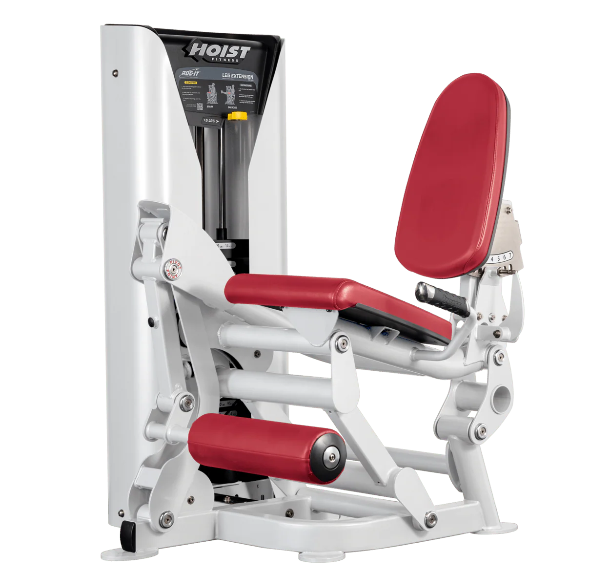 Leg Extension - Image 23