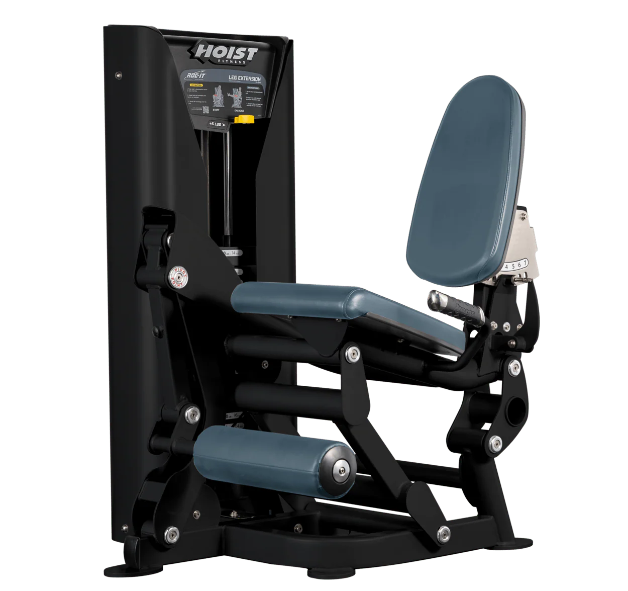 Leg Extension - Image 29