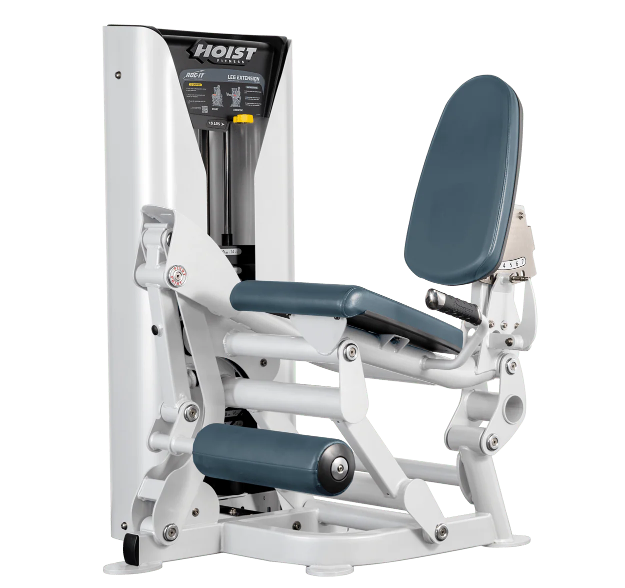 Leg Extension - Image 31