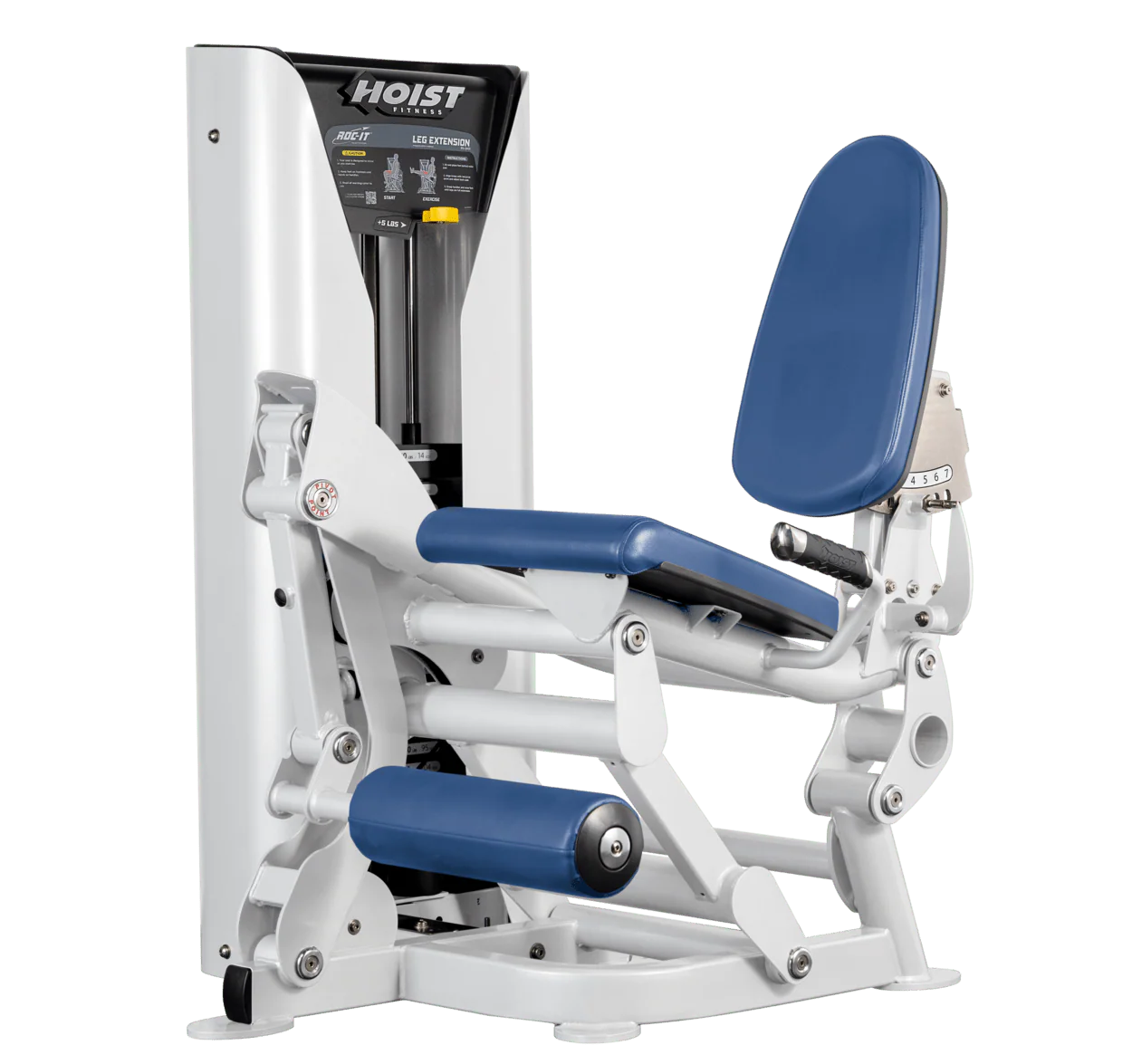 Leg Extension - Image 34