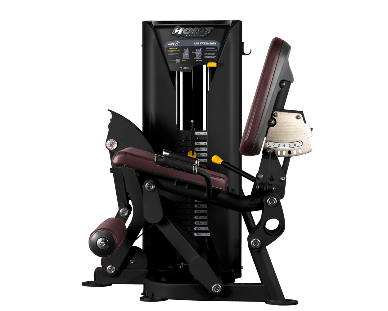 Leg Extension - Image 47