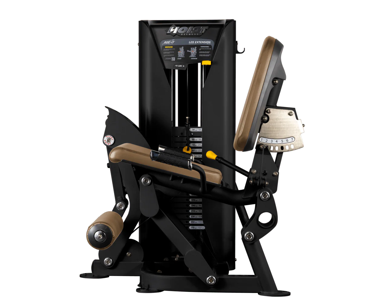 Leg Extension - Image 55