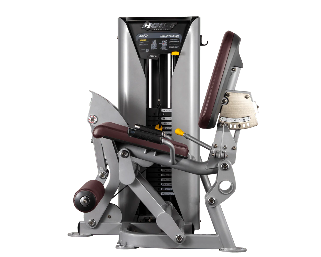 Leg Extension - Image 59