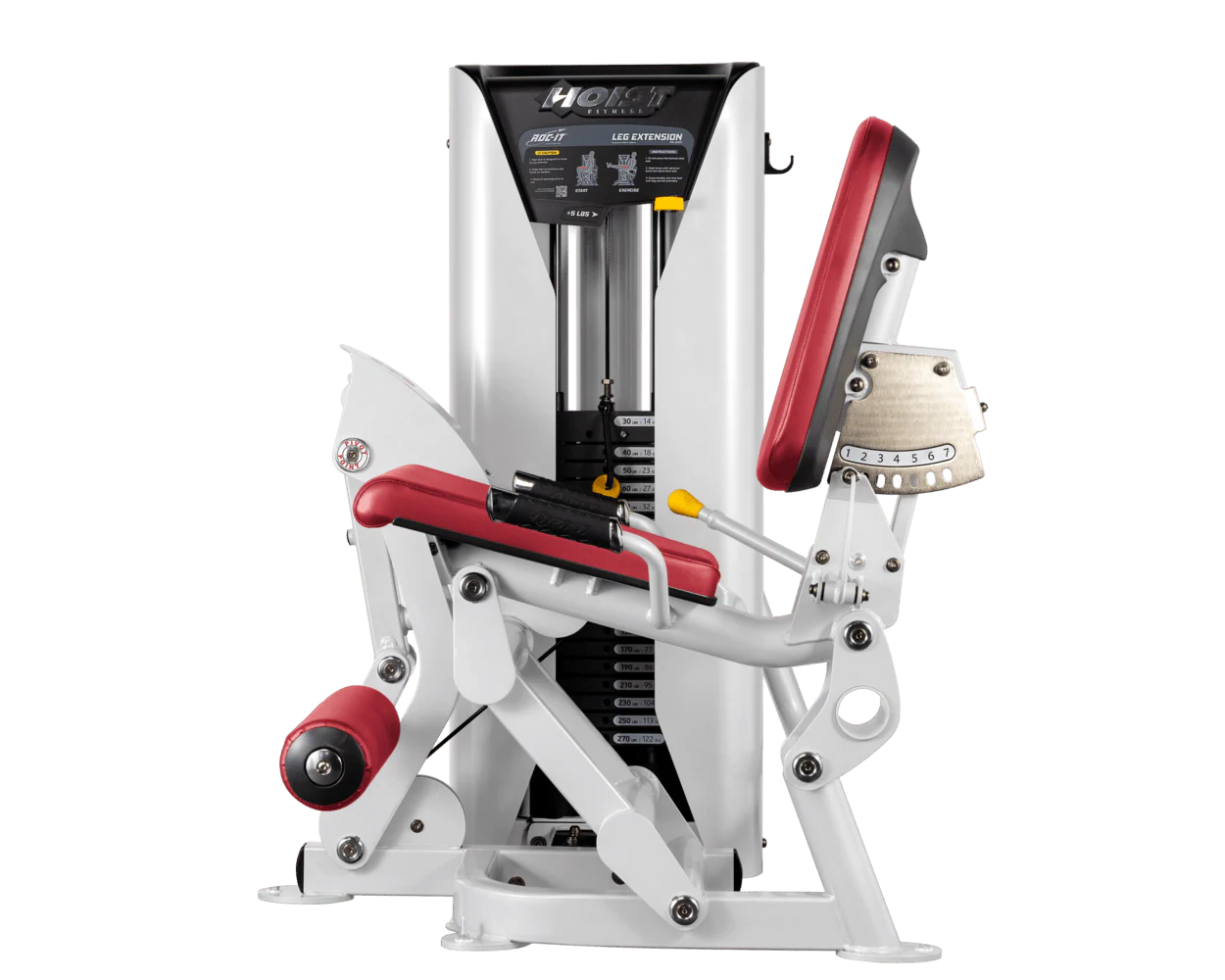 Leg Extension - Image 68