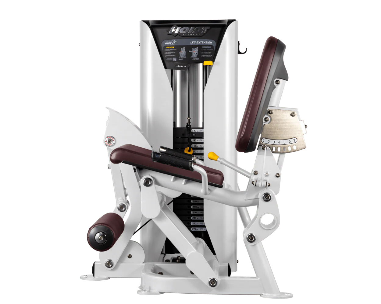 Leg Extension - Image 71