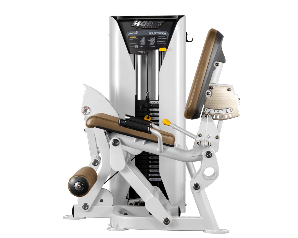 Leg Extension - Image 79