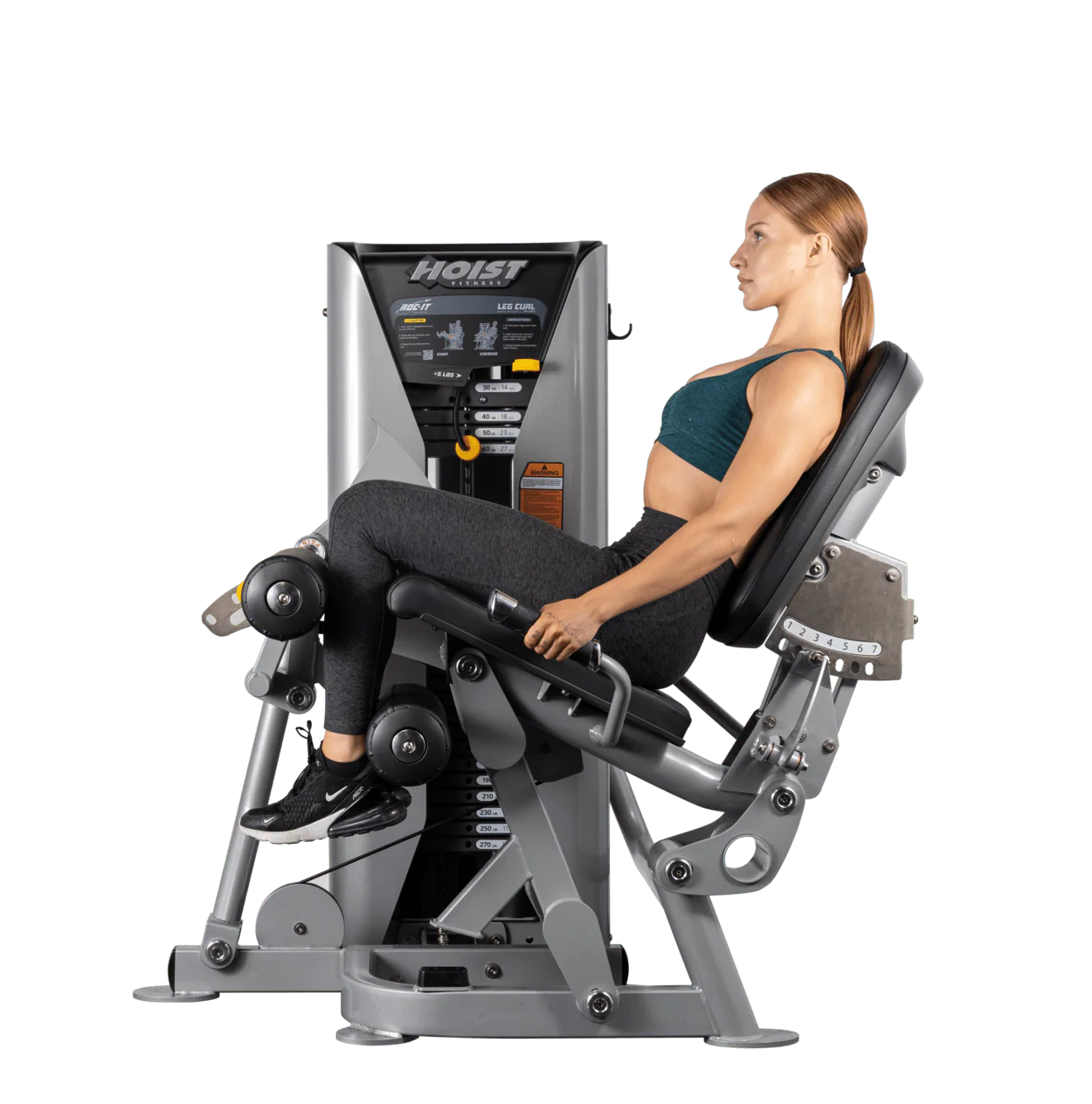 Leg Curl - Image 12