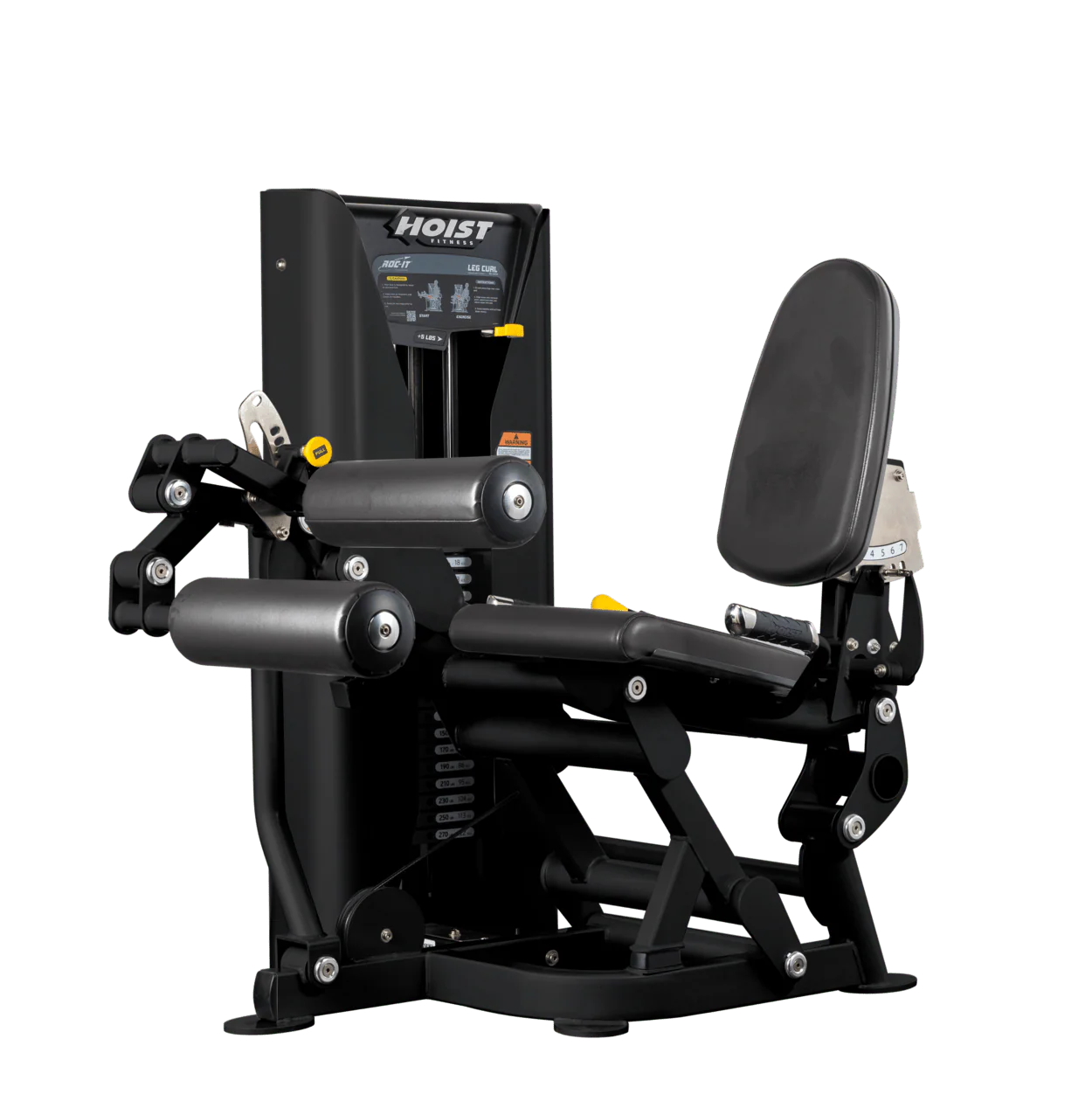 Leg Curl - Image 13