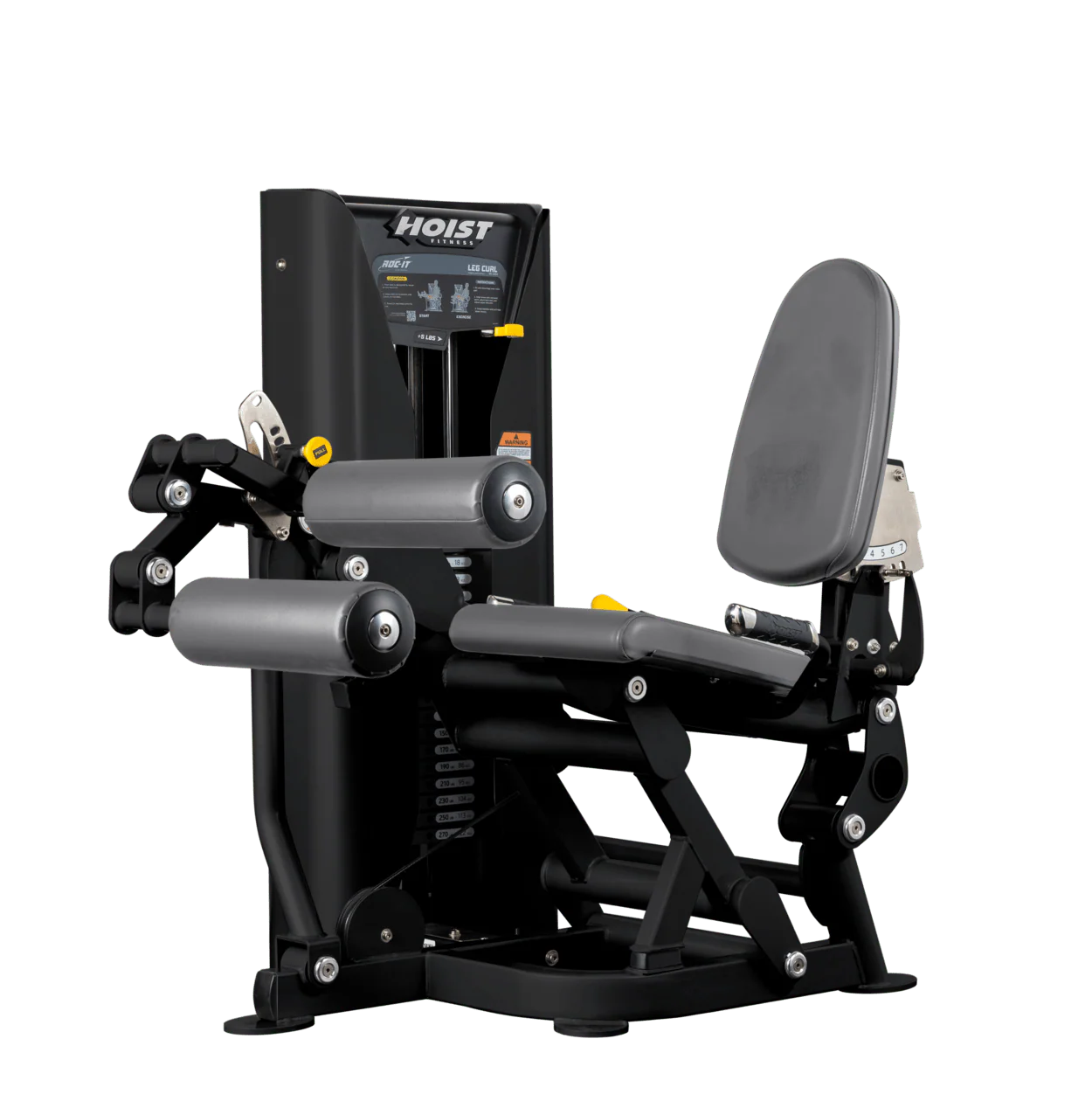 Leg Curl - Image 15