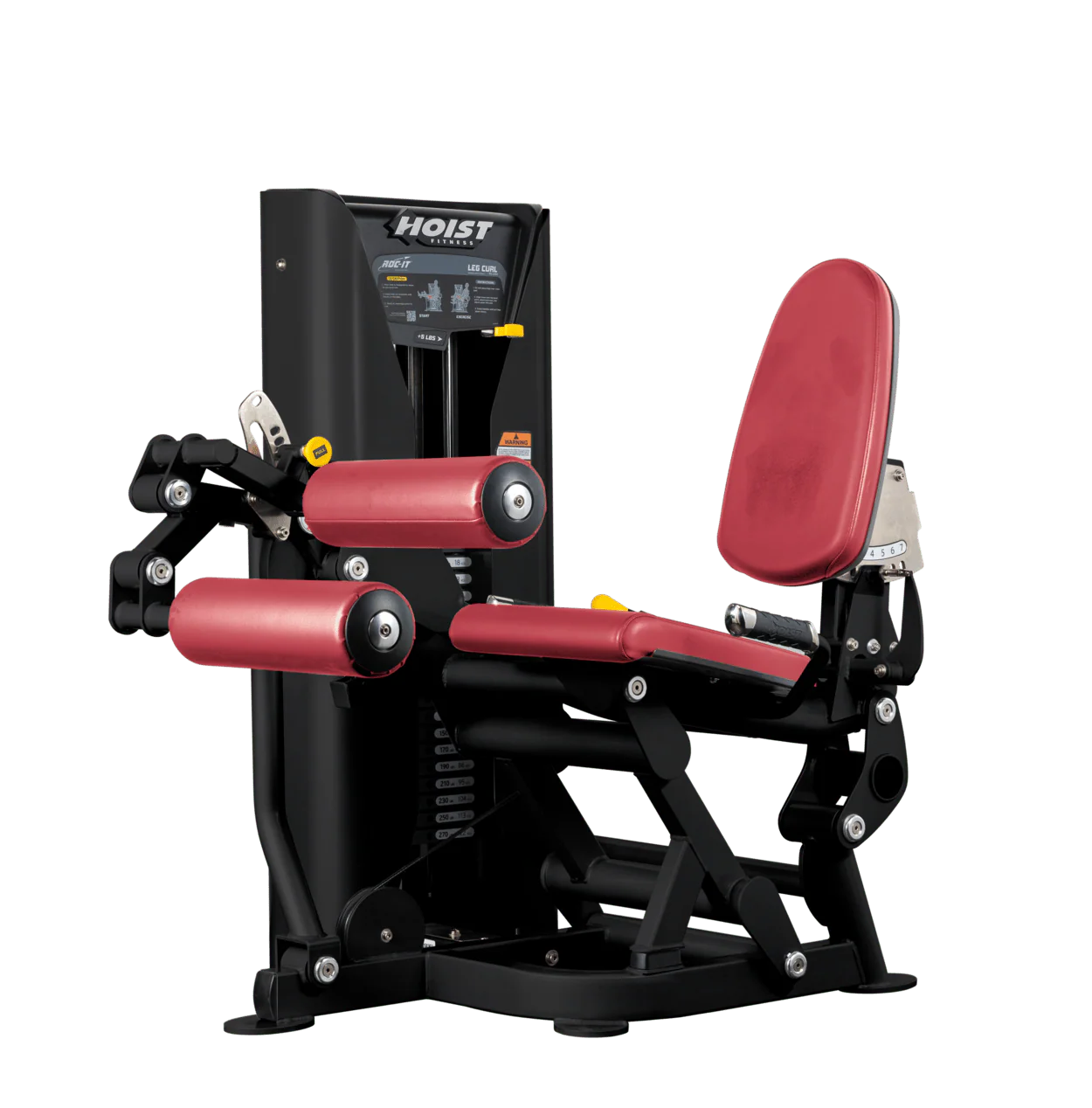Leg Curl - Image 17