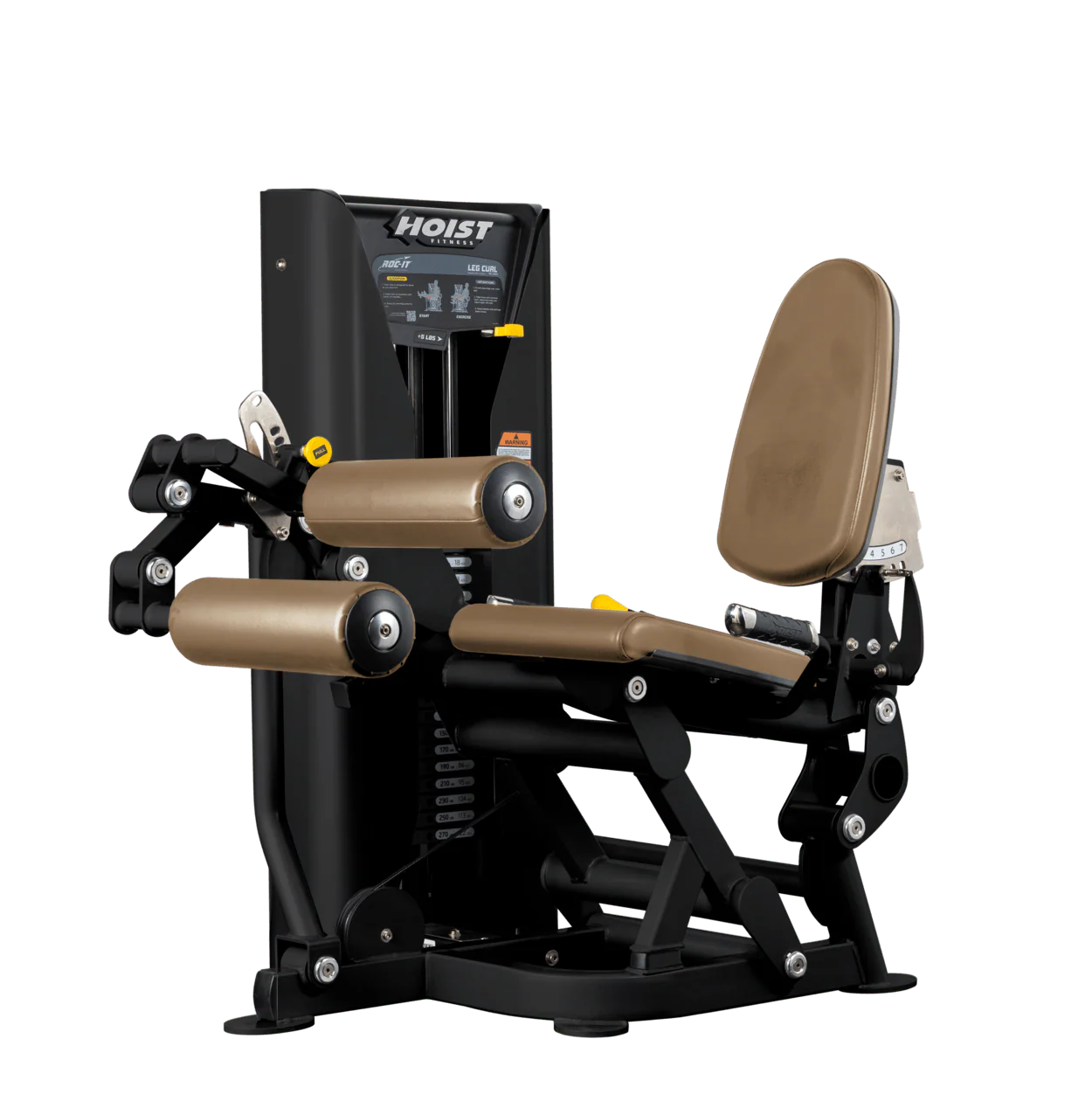 Leg Curl - Image 18