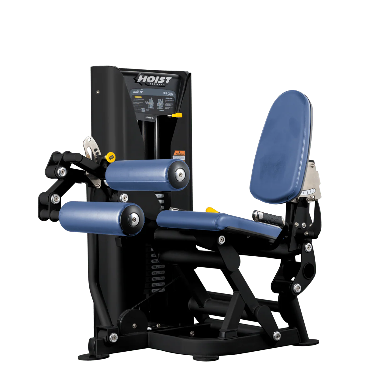 Leg Curl - Image 20