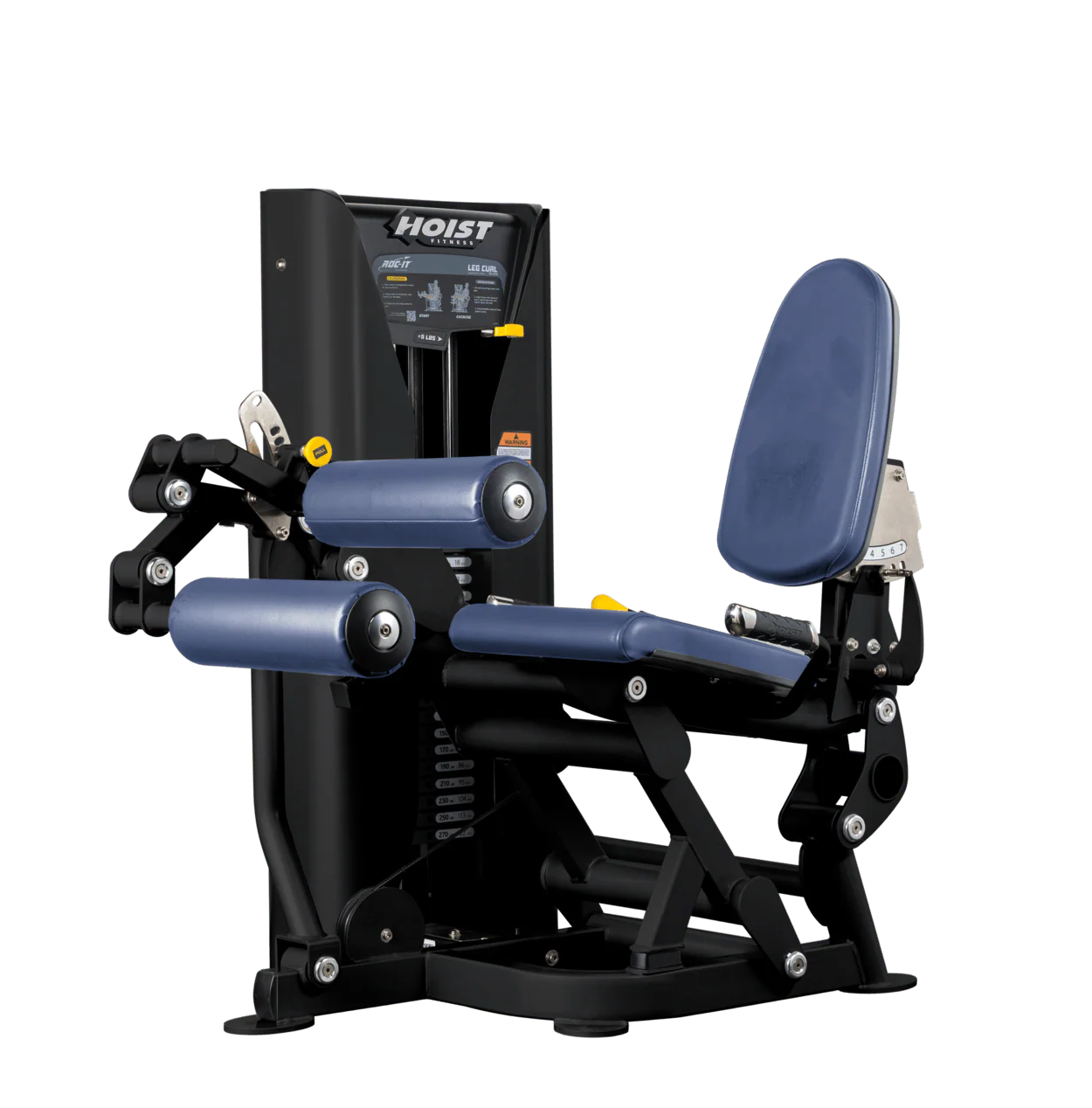Leg Curl - Image 21