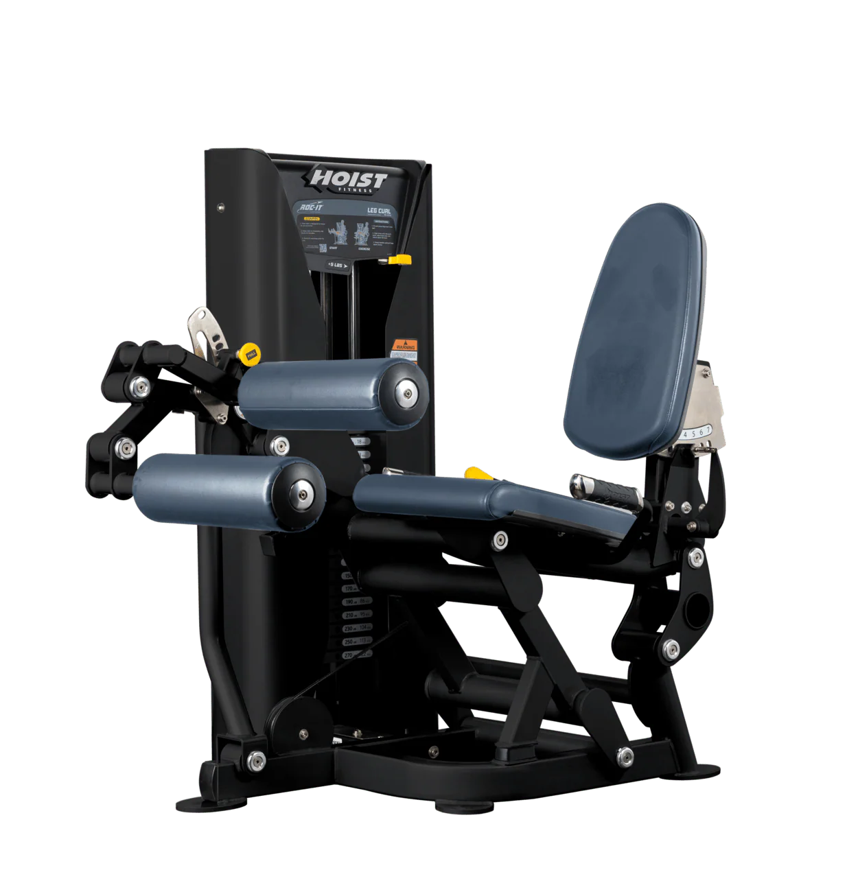 Leg Curl - Image 22