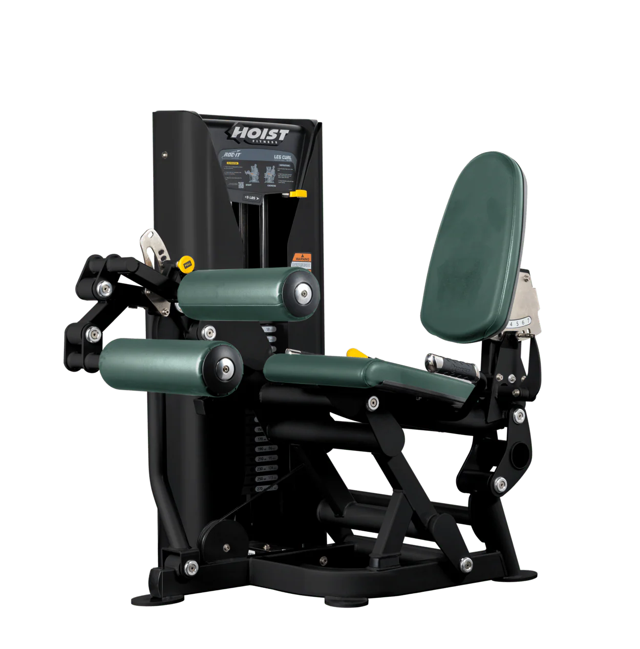 Leg Curl - Image 23