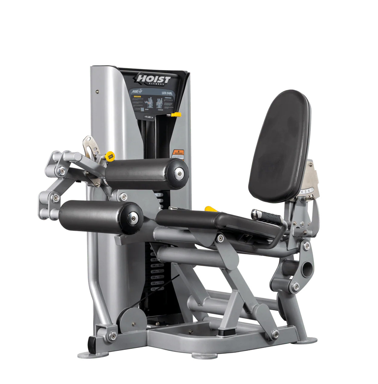 Leg Curl - Image 24