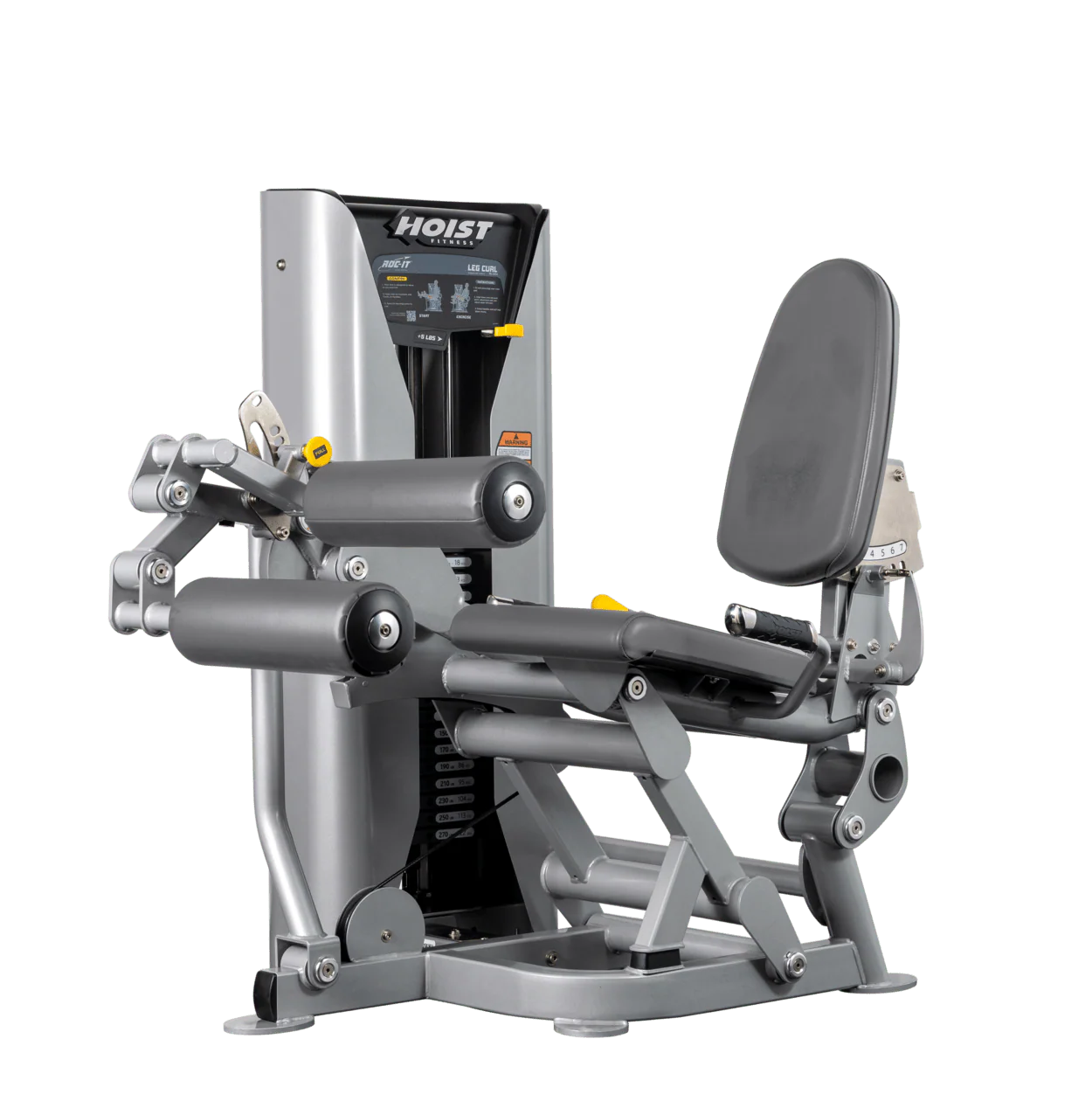 Leg Curl - Image 25