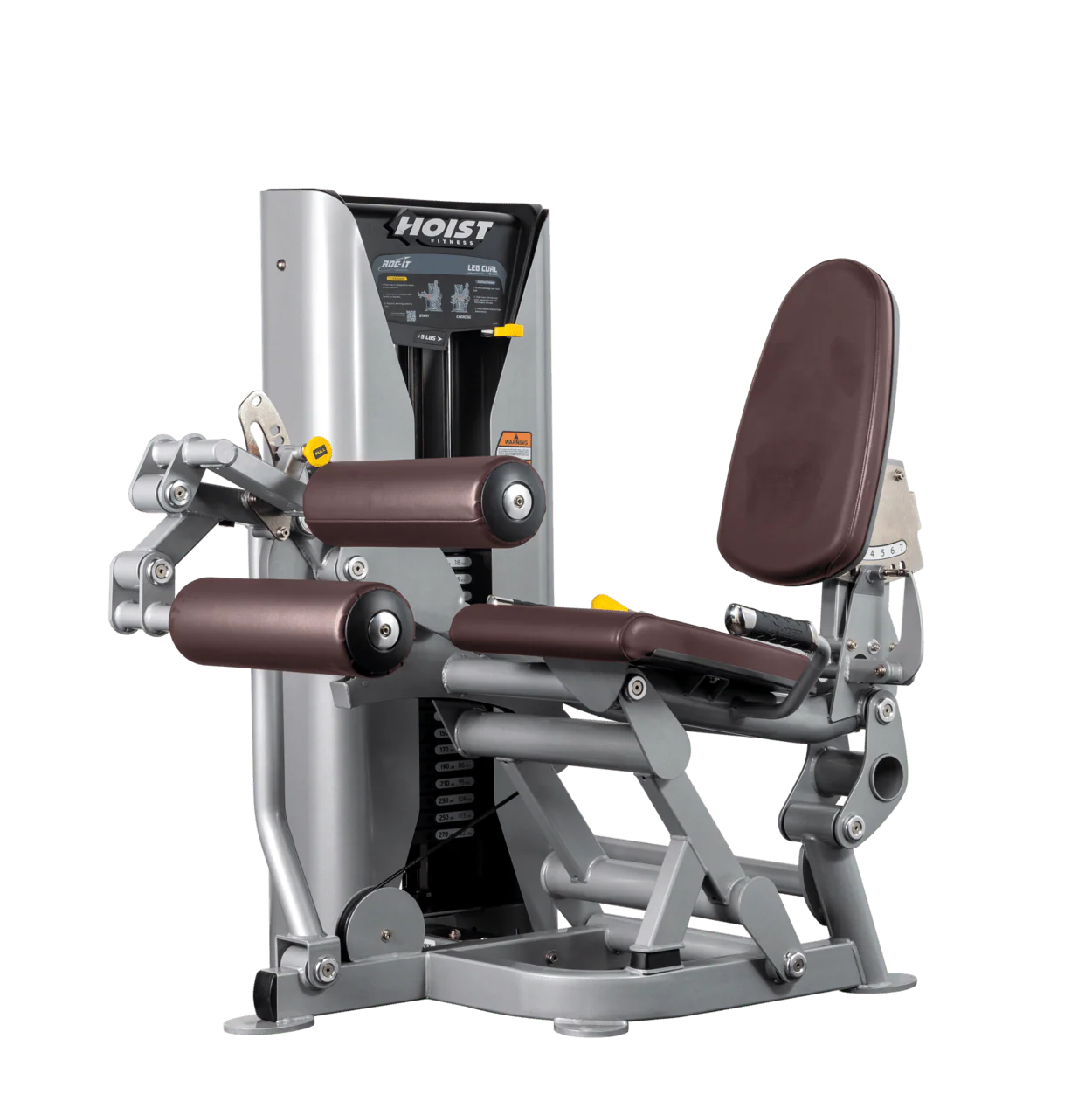 Leg Curl - Image 26