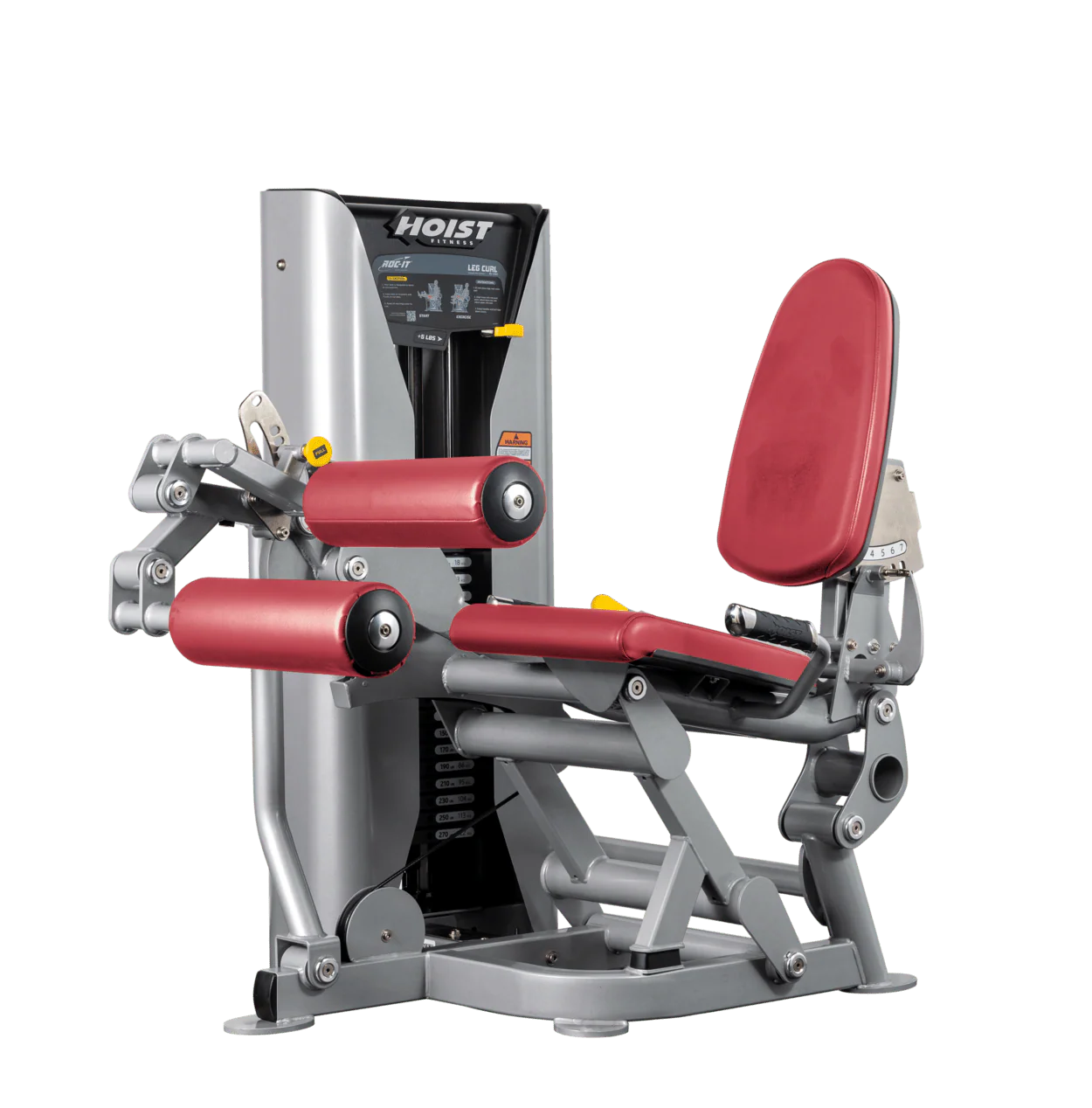 Leg Curl - Image 27