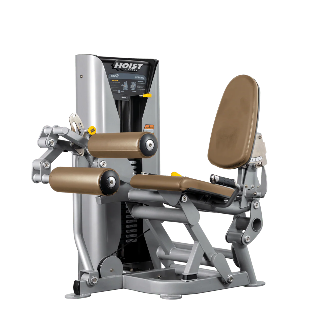 Leg Curl - Image 28