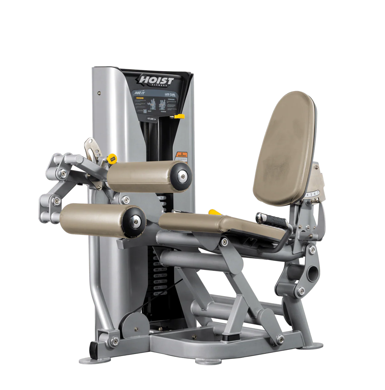 Leg Curl - Image 29