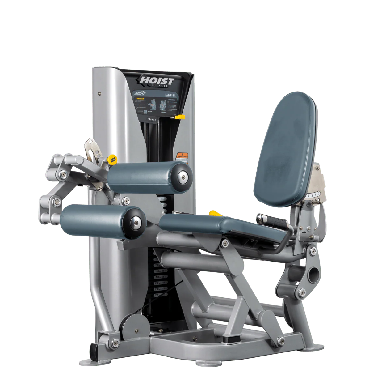 Leg Curl - Image 30