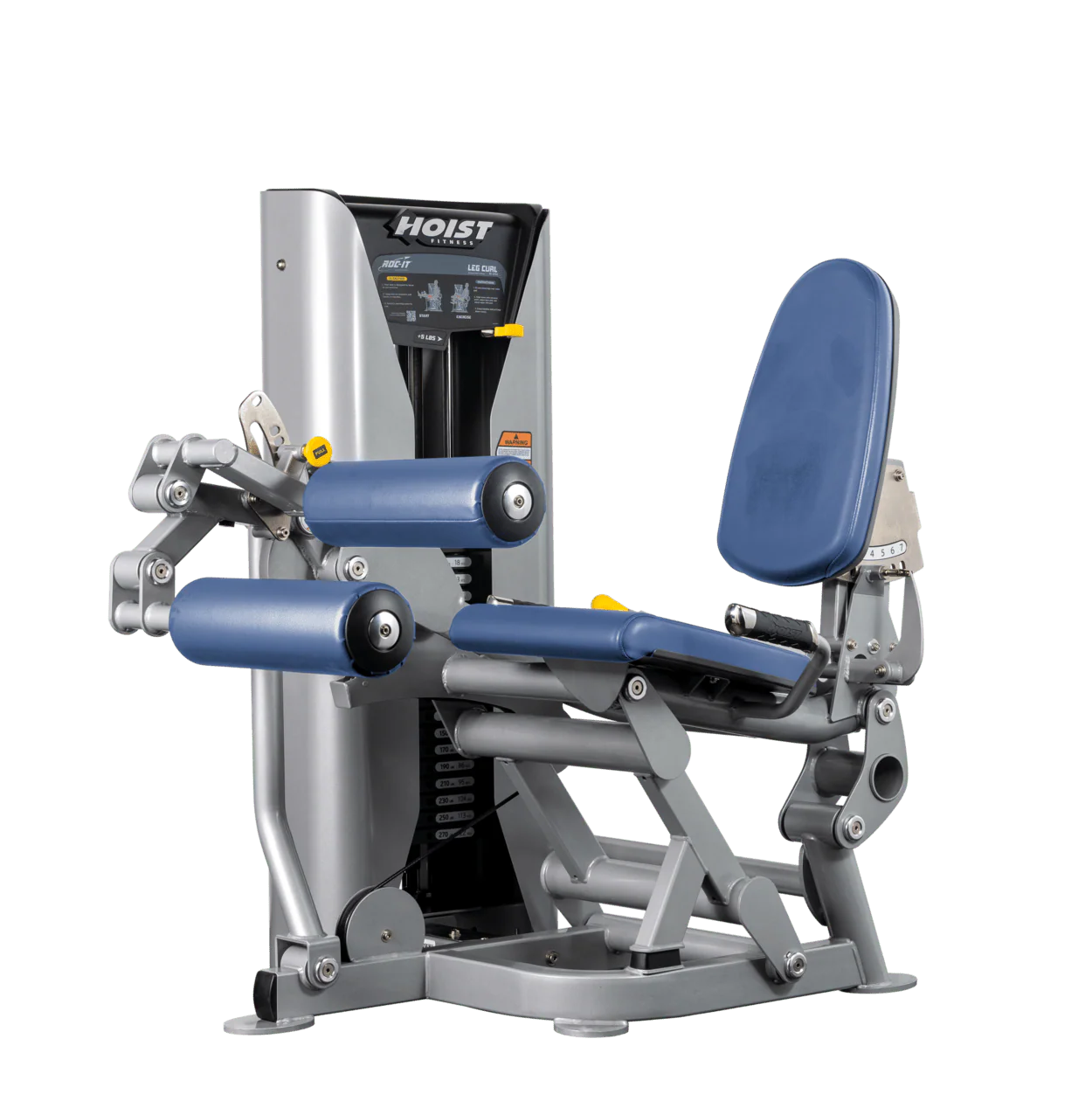 Leg Curl - Image 31