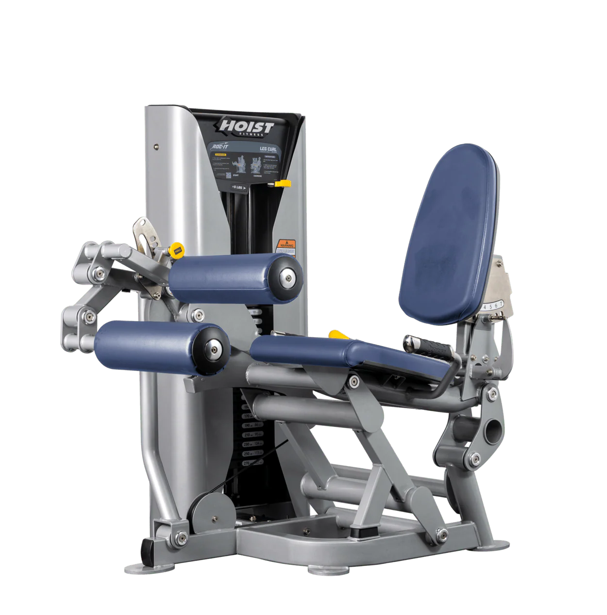 Leg Curl - Image 32