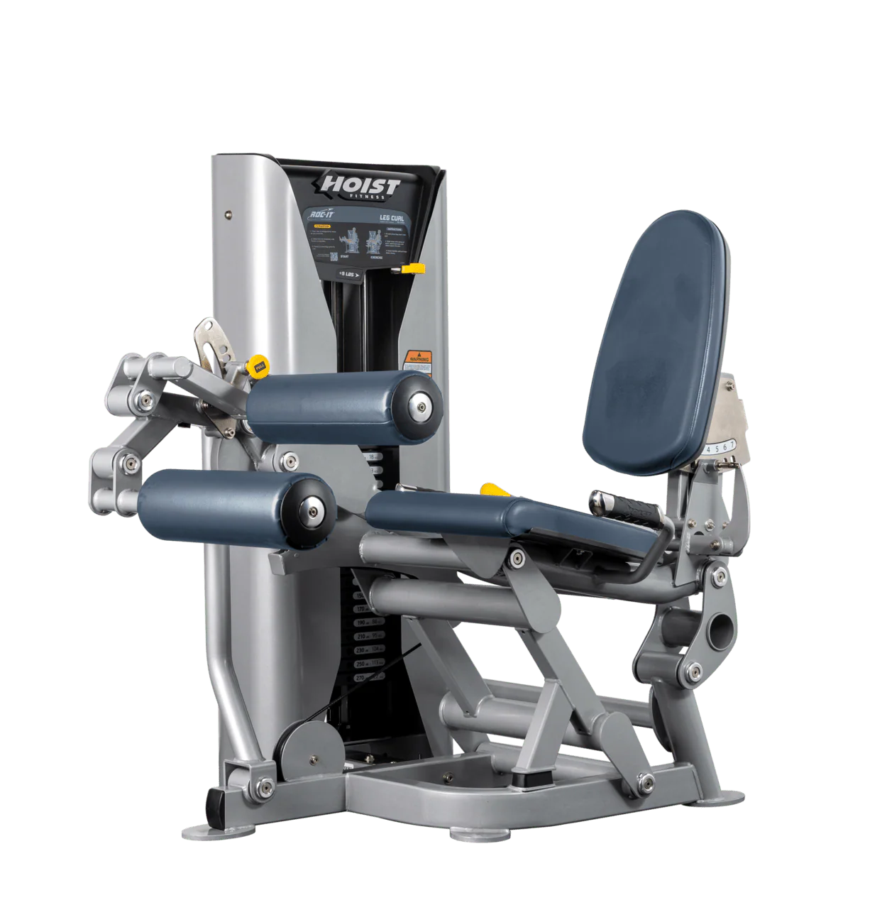 Leg Curl - Image 33