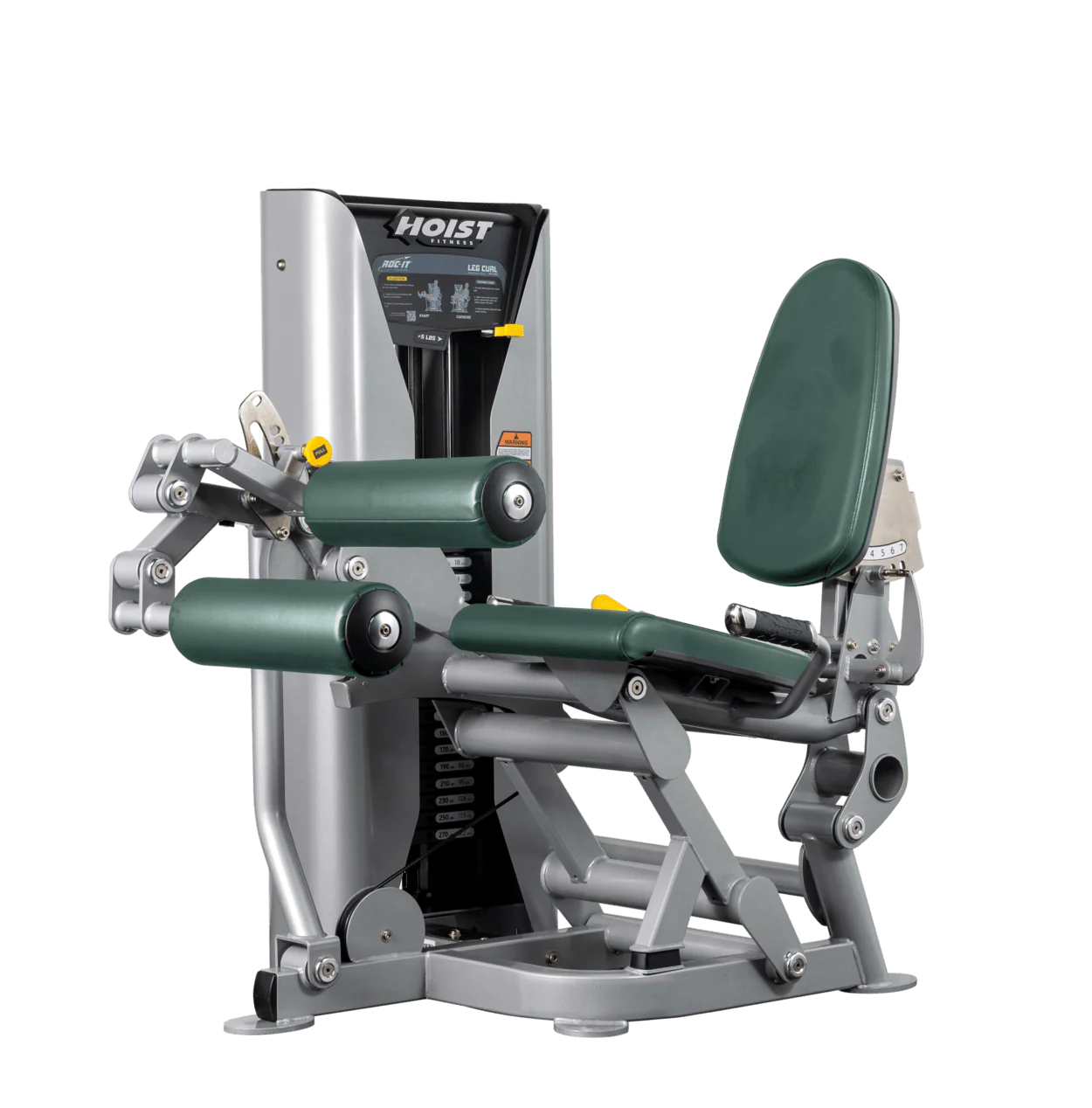 Leg Curl - Image 34