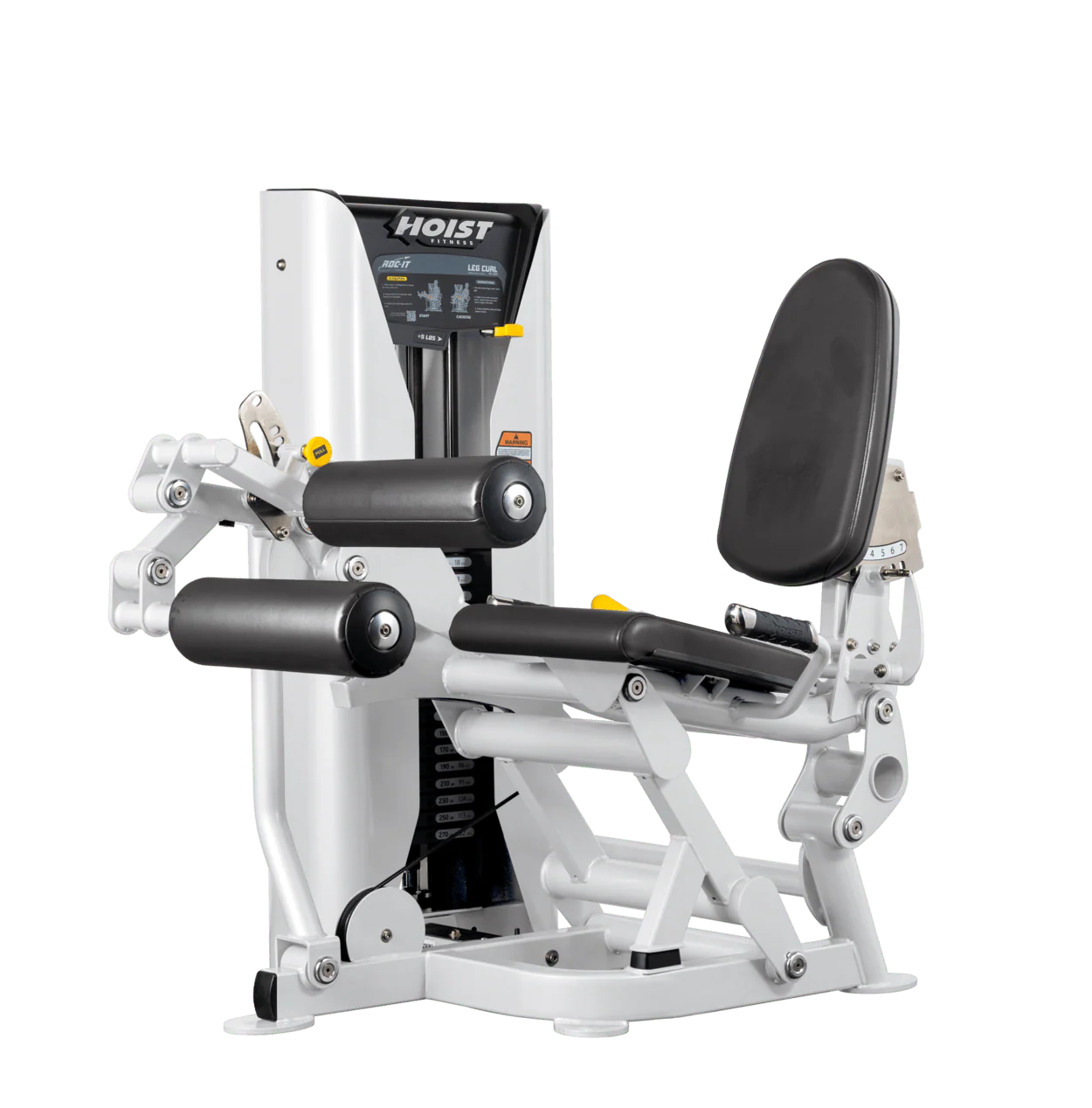 Leg Curl - Image 35
