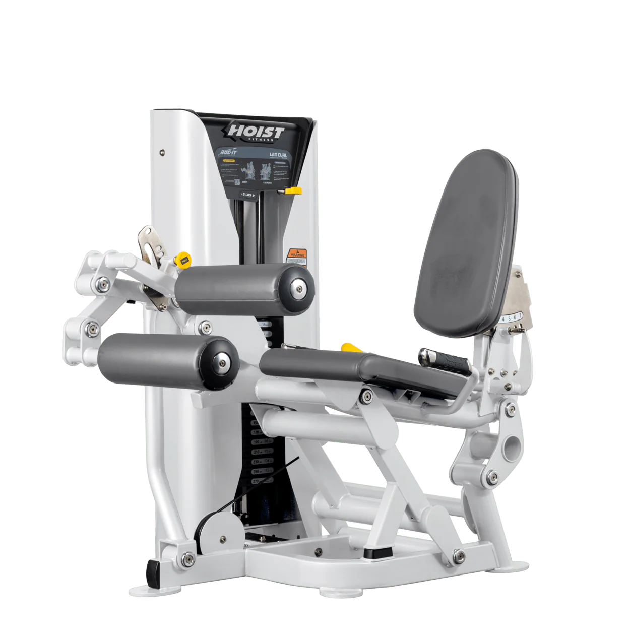 Leg Curl - Image 37