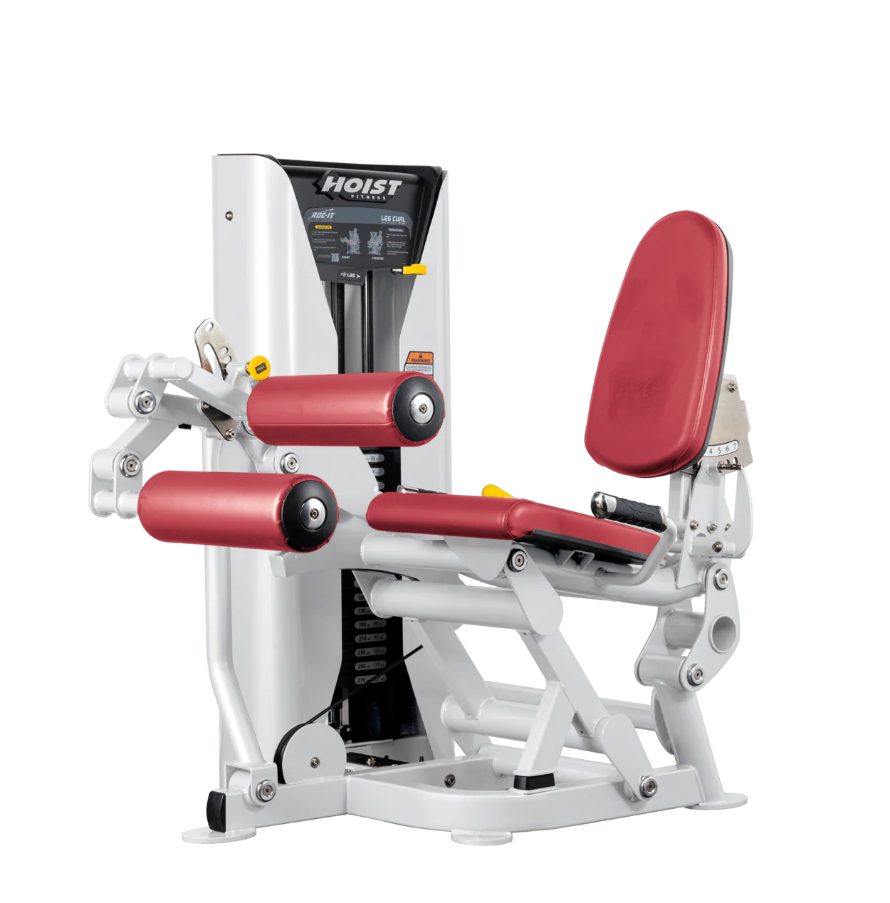 Leg Curl - Image 39