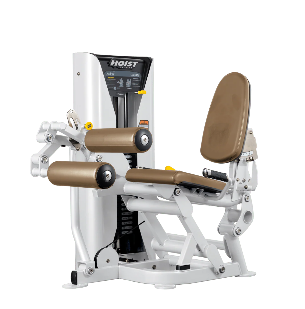 Leg Curl - Image 40