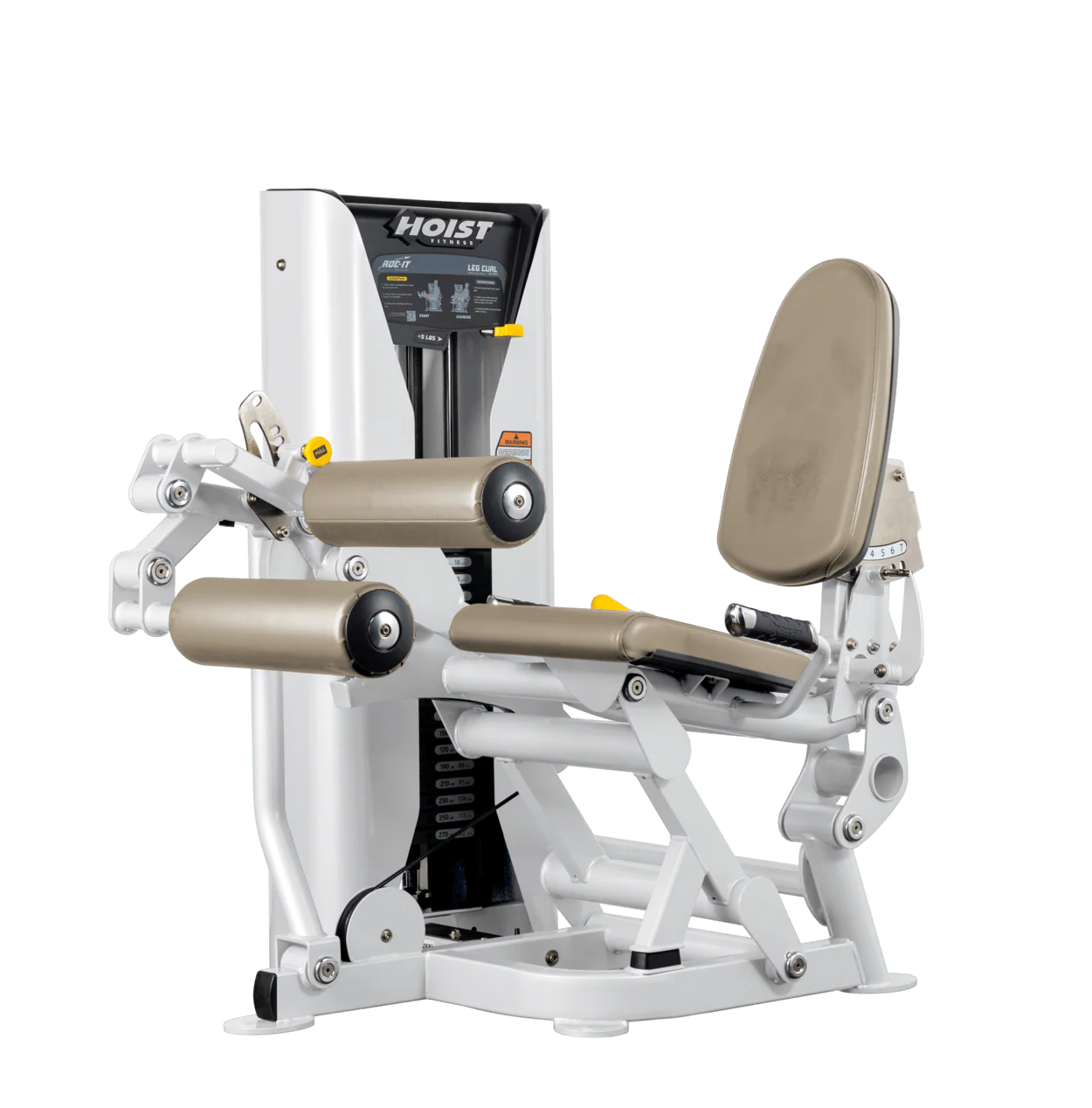 Leg Curl - Image 41
