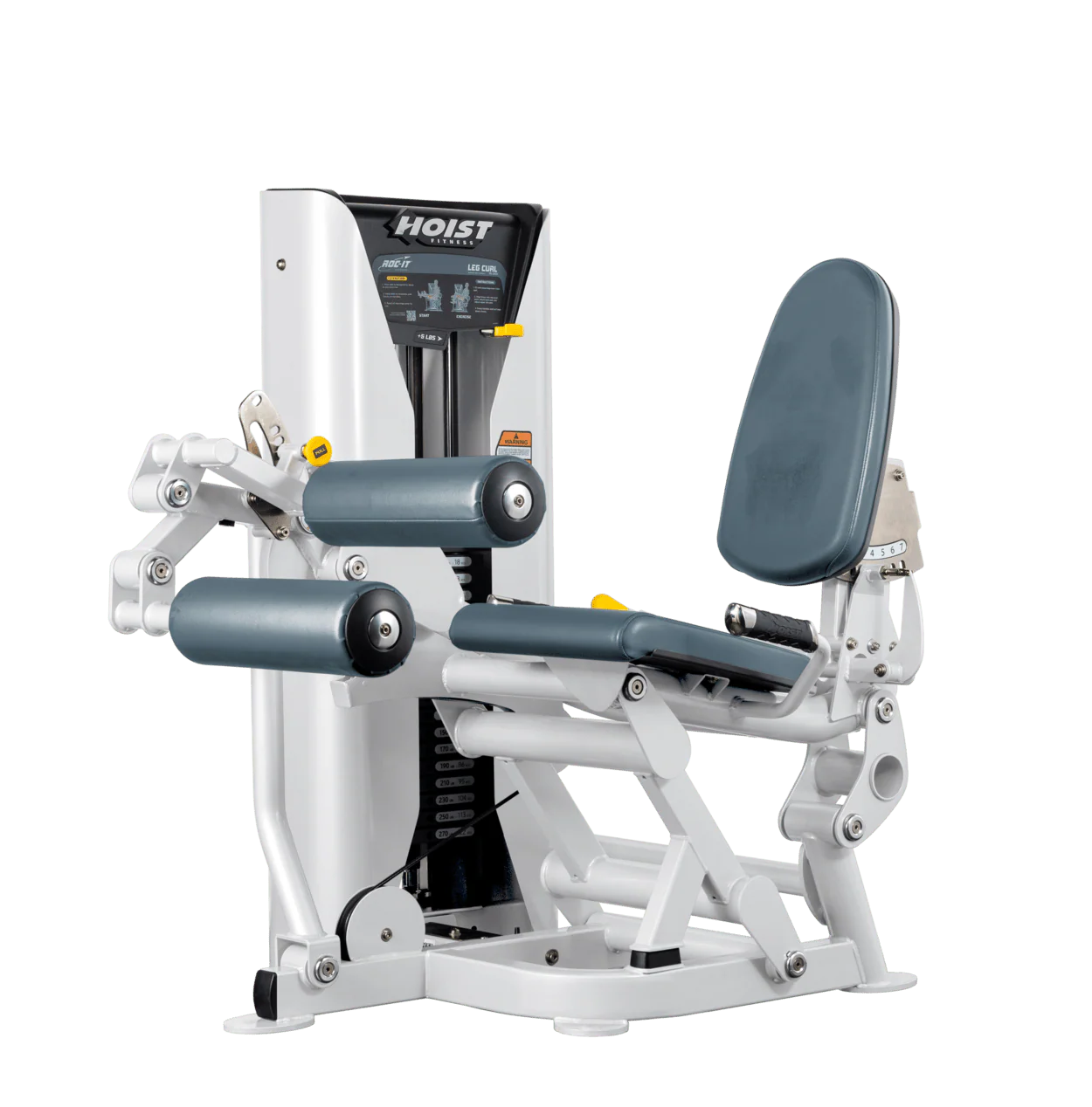 Leg Curl - Image 42