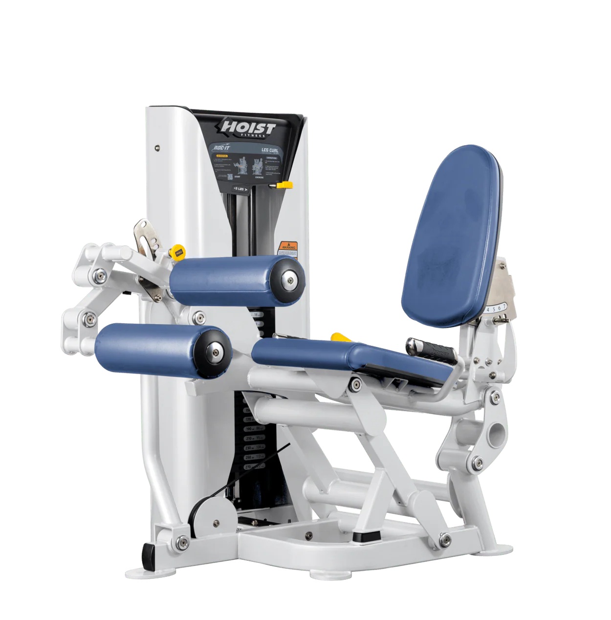 Leg Curl - Image 43