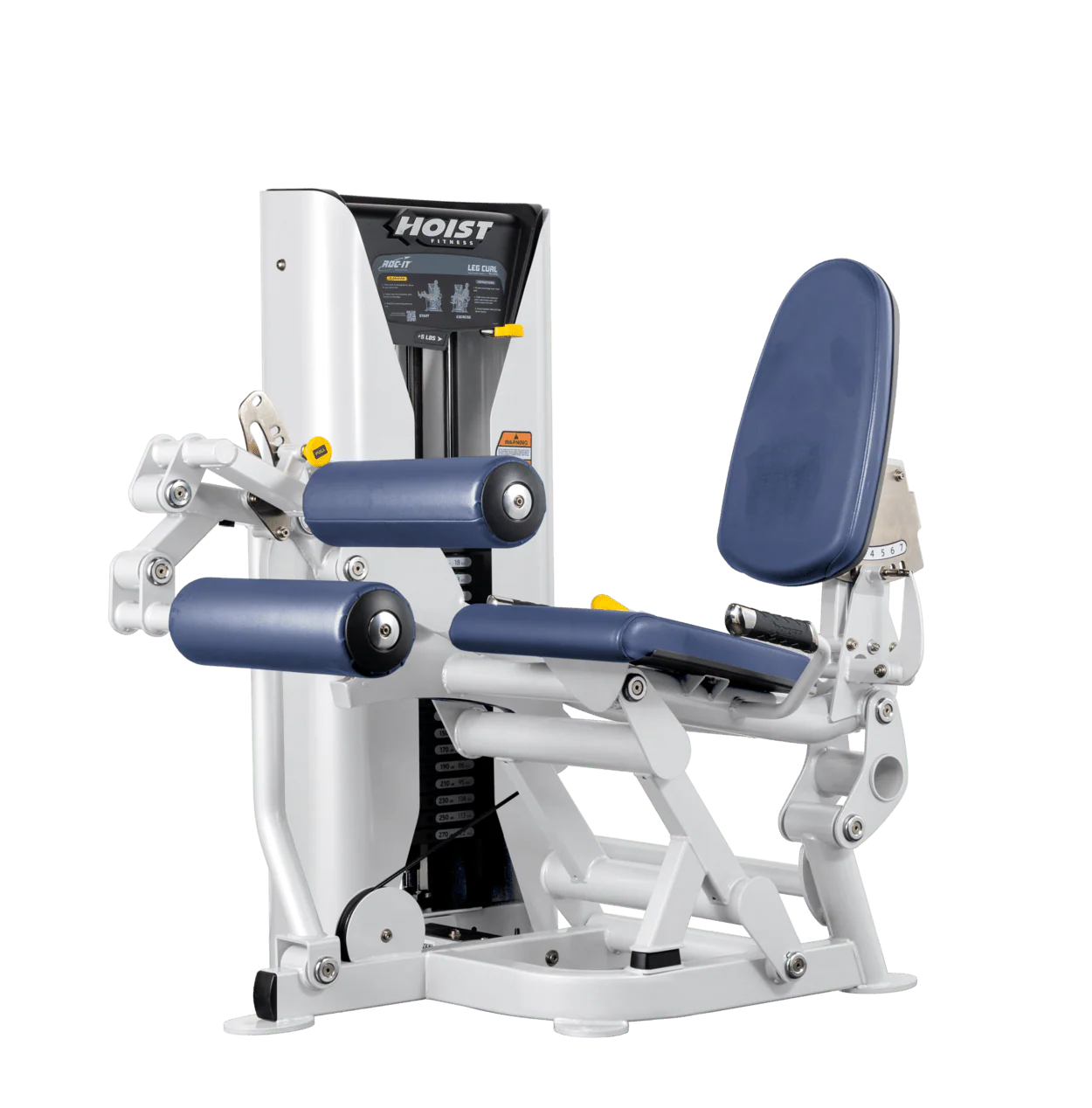 Leg Curl - Image 44